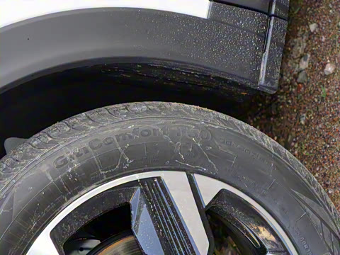 2025�� 500 ��ҵ��