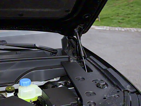 2025�� 210Ultra���̰� 5��