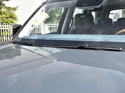 2024�� ����������