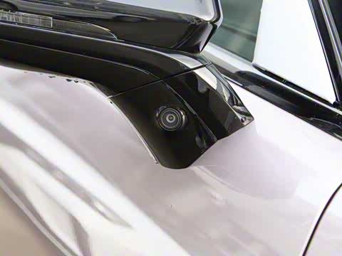 2024�� ������������