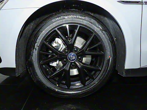 2024�� DM-i ��ҫ�� 121KM �����