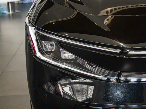 2025�� ����������Plus