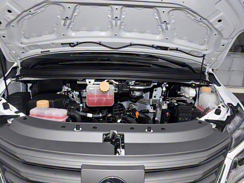 2025�� 110km���� ������7��