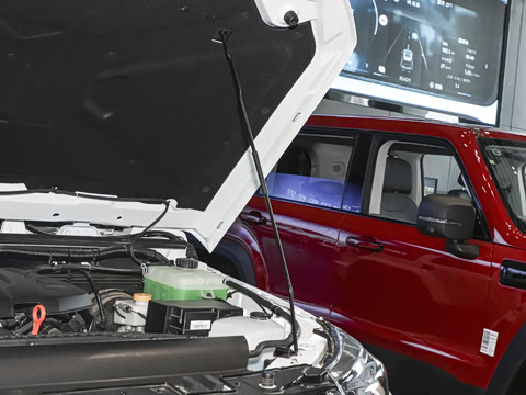 2024�� 2.0T ����������ҫ��