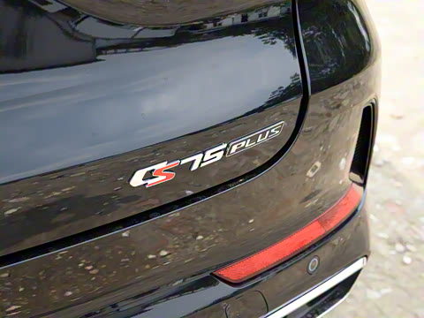 2024�� ������ �ھ��� 2.0T �Ǽݾ�����