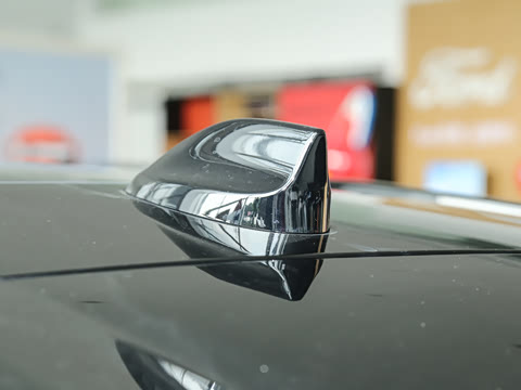 2025�� 2.0T EcoBoost E �춯 �˶��� ST-Line