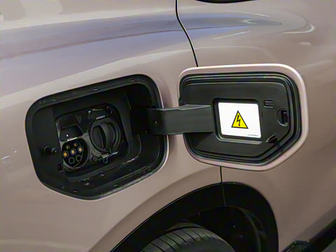 2024�� ��������������