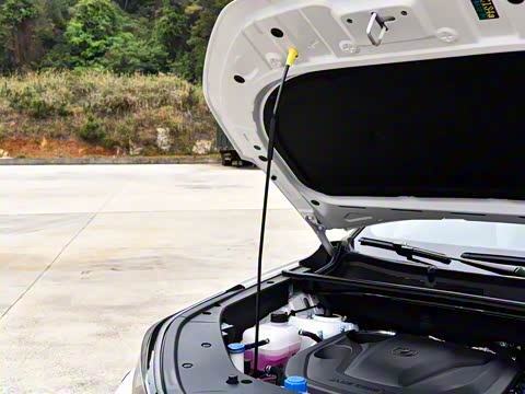 2025�� ������ �ھ��� 1.5T ������