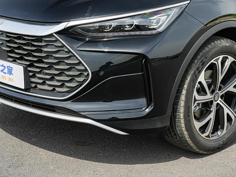2025�� DM-i 175KM �캽��