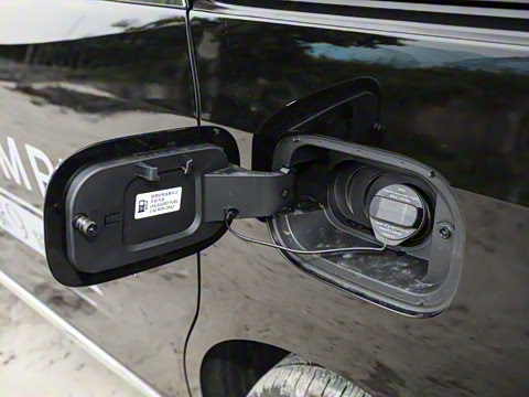 2024�� ���� ��������ɭ�ְ� ����