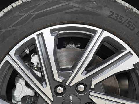 2024�� ���� ��������ɭ�ְ� ����