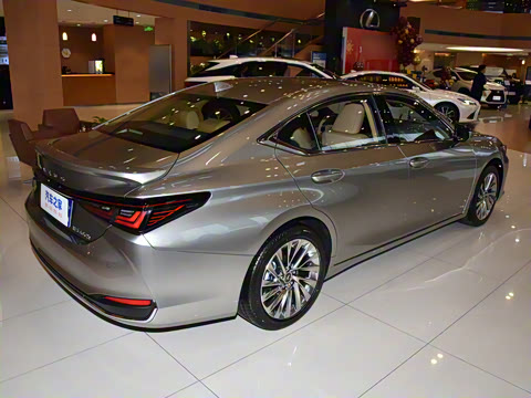 2025�� 300h ������