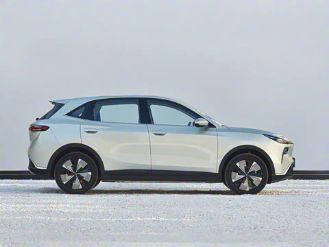 2025�� 565km ������