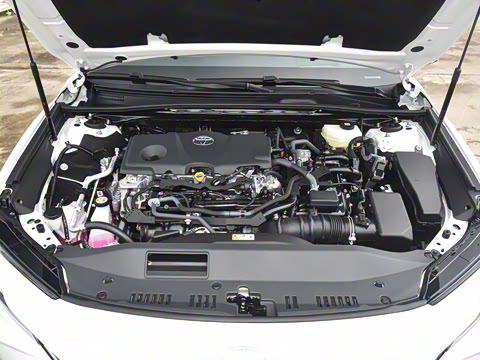 2024�� ˫�� 2.5HG ����