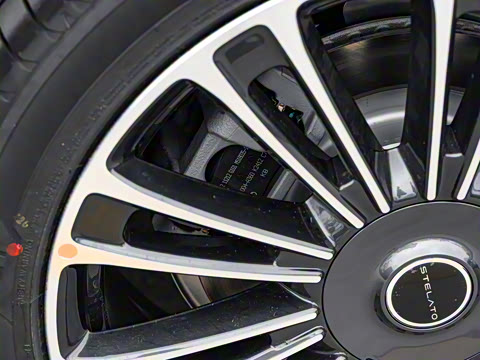 2025�� ���� Max