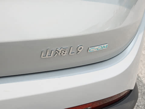 2024�� 1.5TD 2DHT Air 5��