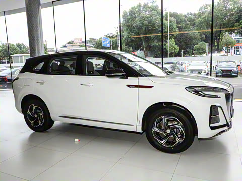 2024�� 1.5T ־Ϊ��