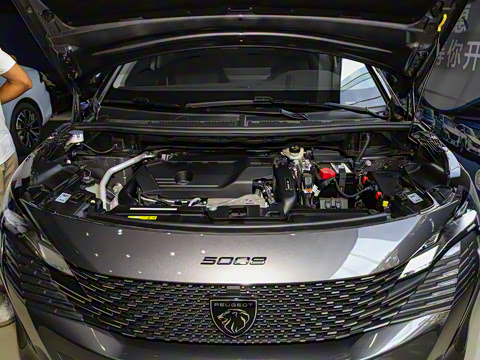 2023�� 400THP �氮�� 5��