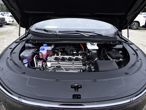 2025�� ���� ����� 230 ������