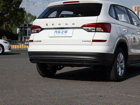 2025�� 1.5L �Զ�ʵ����