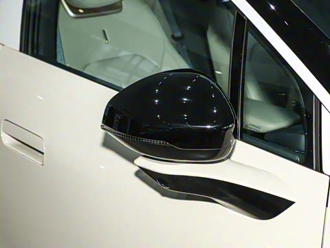 2025�� 530km ����Pro