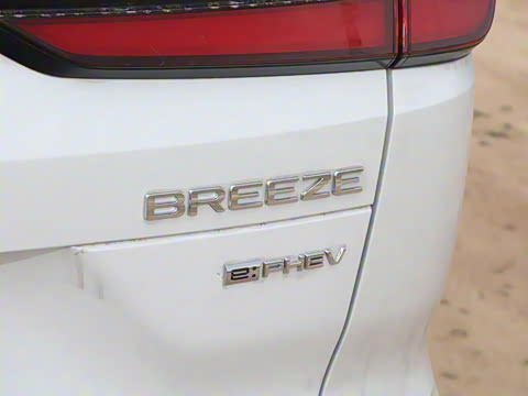 2025�� e:PHEV ������