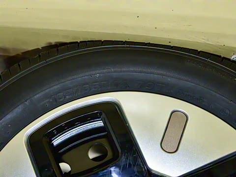 2024�� ֿ���� 301km Lite