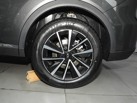 2025�� ����� 125 �캽��