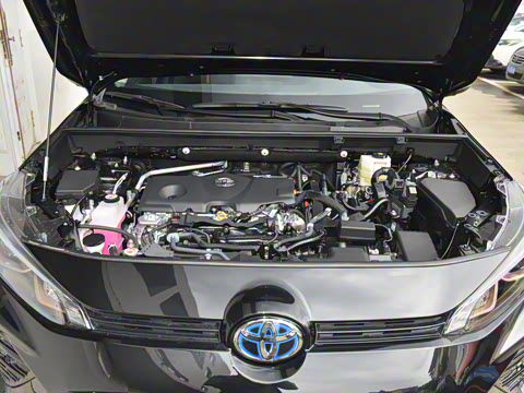 2024�� ˫�� 2.5L E-CVT��������PLUS��