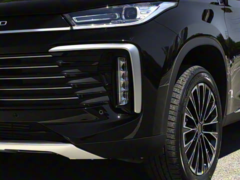 2025�� 300T ������ҫ��