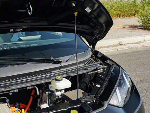 2025�� �Ǽݰ� 305km ���ɰ�