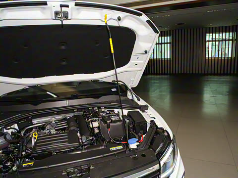 2025�� 280TSI DSG���а�