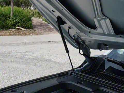 2026�� ���� 630�����״������ 5��