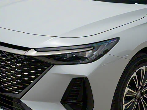 2025�� 70km ��׼��