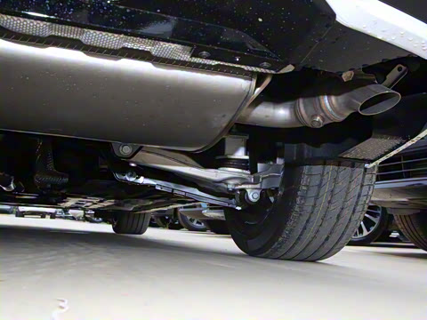 2025�� B5 �����˶���