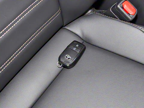 2024�� ˫�� 2.5L E-CVT��������PLUS��