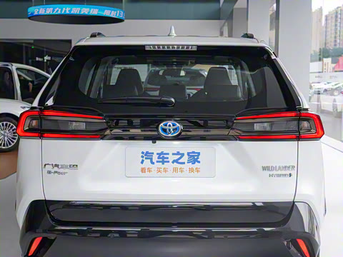 2024�� ˫�� 2.5L E-CVT��������PLUS��