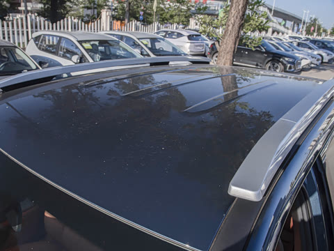 2024�� ���������� 520 ������