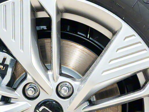 2025�� 445km ���ð�