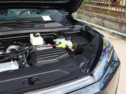 2025�� 205��������������