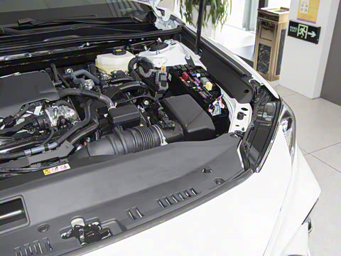 2024�� ˫�� 2.5HXS �˶�Plus��