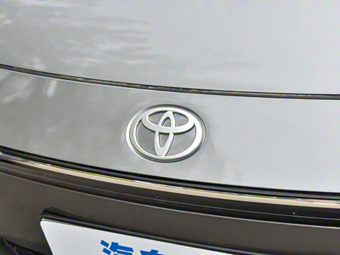 2024�� 517km ��Ӣ PRO