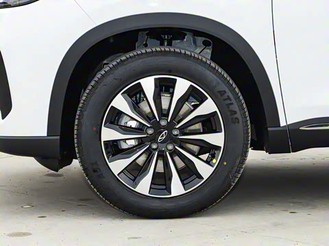 2025�� 290TGDI DCT�˷�� 