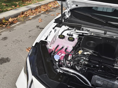 2025�� 1.5T 300 DCT������