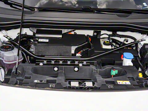 2024�� ������������