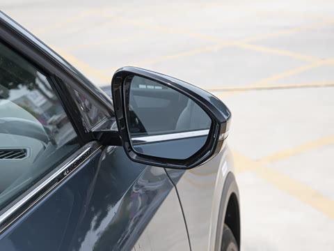 2025�� 445km ��ѡ��