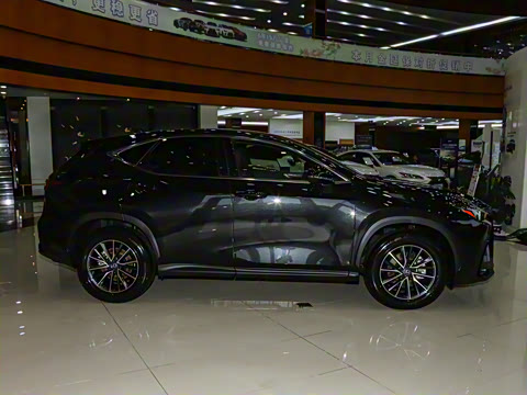 2024�� 260 ǰ�� ���۰�