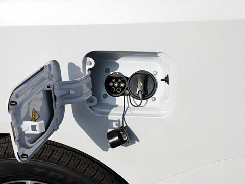 2025�� 401km ���� 7��