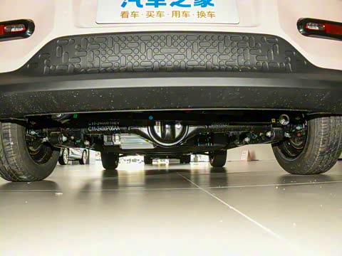 2025�� 205km ʥ����