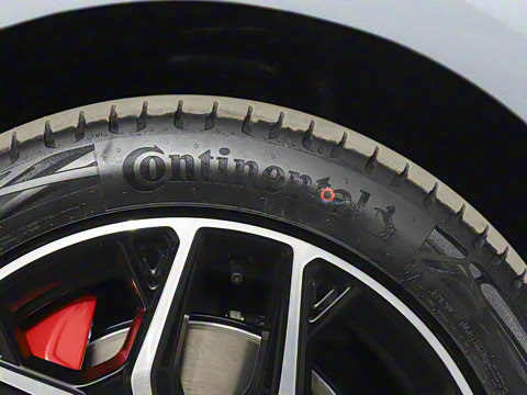 2025�� ���� 565����Max�캽��